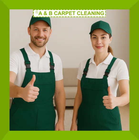 Professional Cleaner